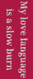 “Lost in the Pages” Embroidered Sweatshirt – Bookish Apparel for Readers  4 Colours & Forearm Phrases